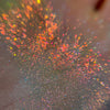 Marigold Fairy Enchanted Garden Multichrome Moon Dust